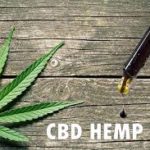Natural Skincare Benefits In Using Organic Hemp Seed Oil?